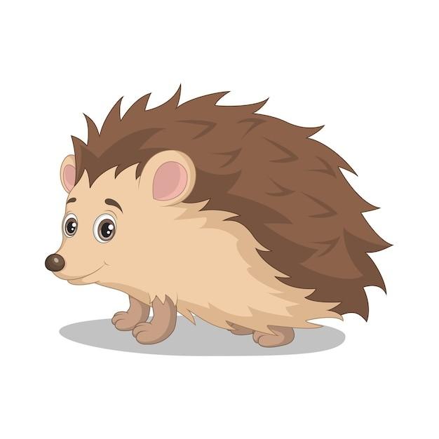 Hedgehog