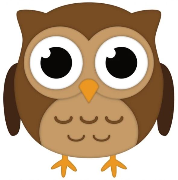 Owl Image 