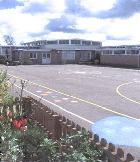296559_l.jpg